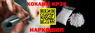 гашик Шелехов