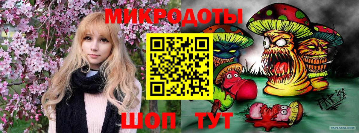 Коряжма  Псилоцибиновые грибы MAGIC MUSHROOMS  Вход с VPN 