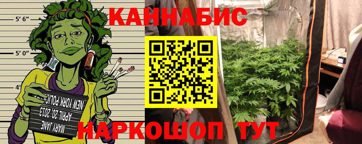 Марихуана план  Шишки марихуана SATIVA & INDICA  Коряжма  Каннабис конопля  Вход с VPN 
